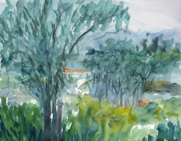 Oliivipuut  <br>akvarelli 2012