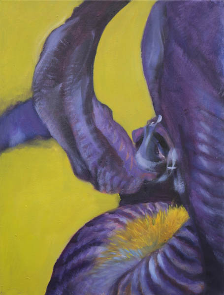 Hurraa iiris<br>  öljyväri kankaalle 2015