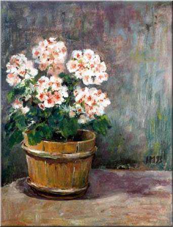 Pelargoniat  <br>öljy -93