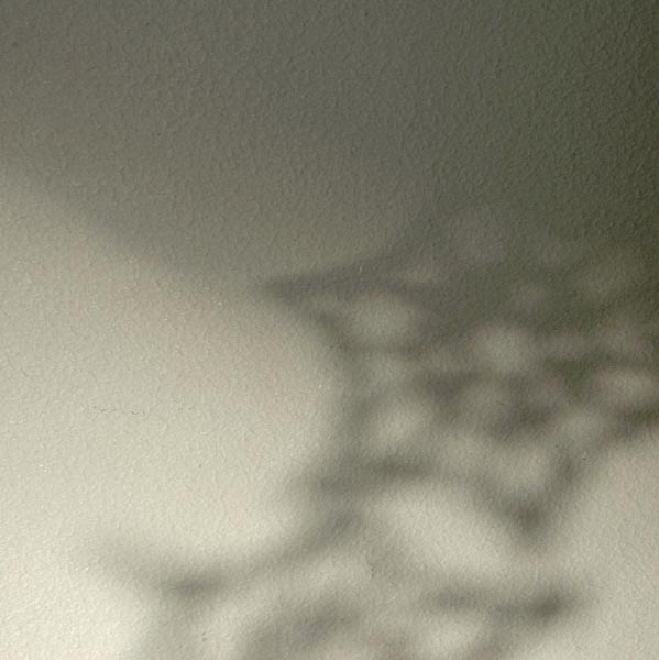 Varjoja, kuvia 4  <br>digivedos arkistokelpoiselle paperille, 2007 	25 x 25 cm