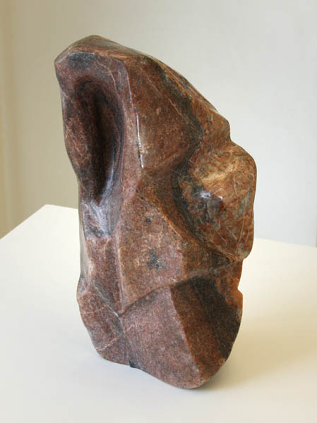 Shamaani  <br>kivi  2008