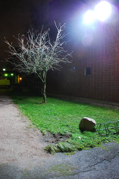 Rauhaisa  <br>pigmenttivedos alumiinille, 40 x 60 cm, 2009