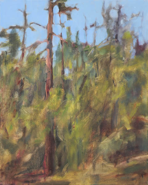 Maailman sinisin taivas  <br>öljy 2012	, 60x48cm